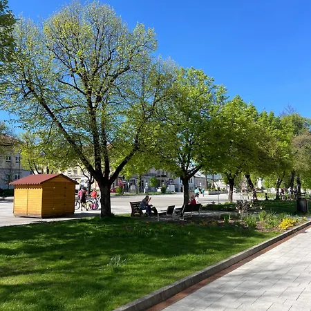 Apartamento Laura V Centre *